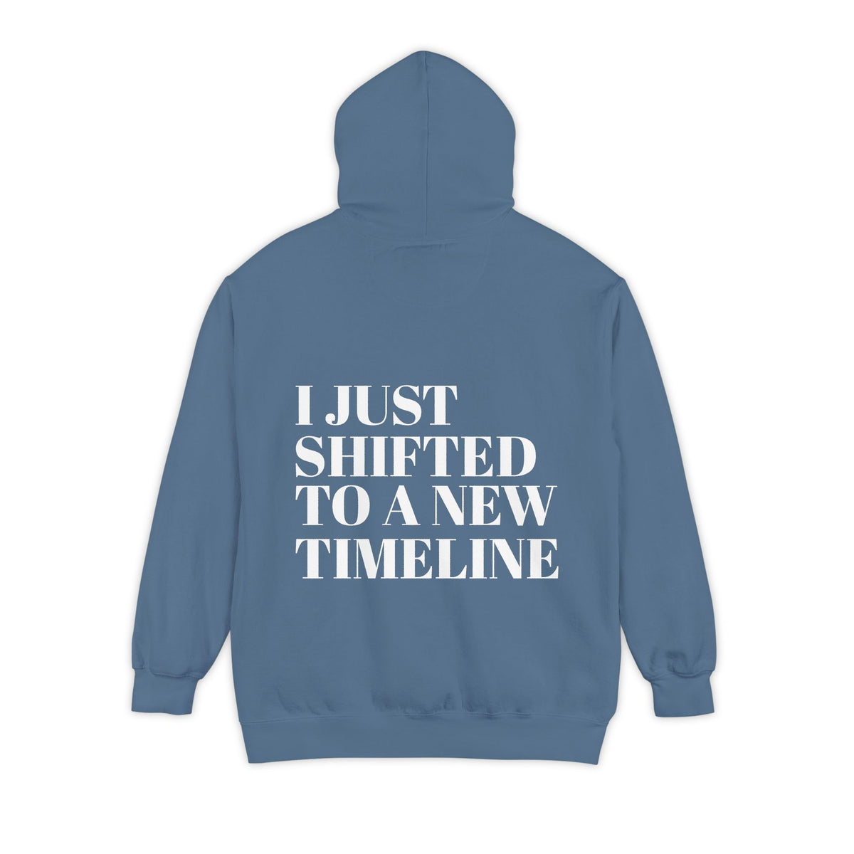 I Just Shifted to a New Timeline Hoodie
