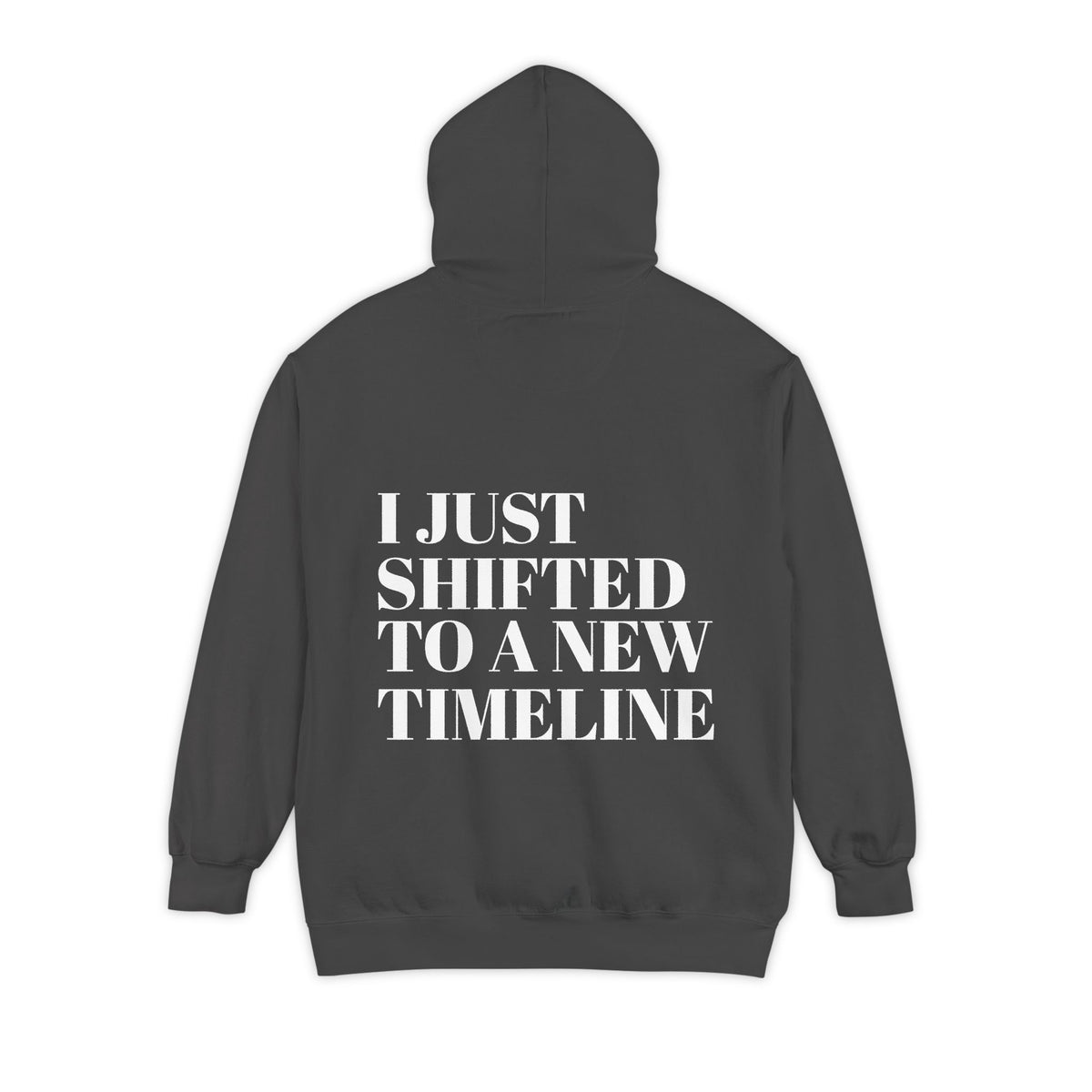 I Just Shifted to a New Timeline Hoodie